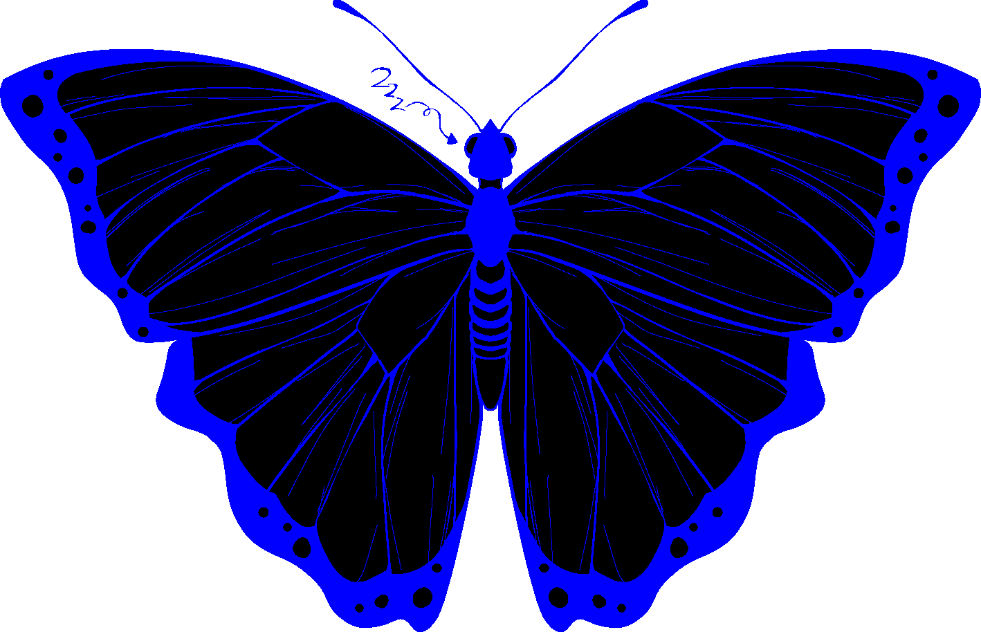A morpho butterfly meant to represent the webmaster.